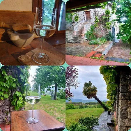 Podere Bellavista Monterotondo (Tuscany)